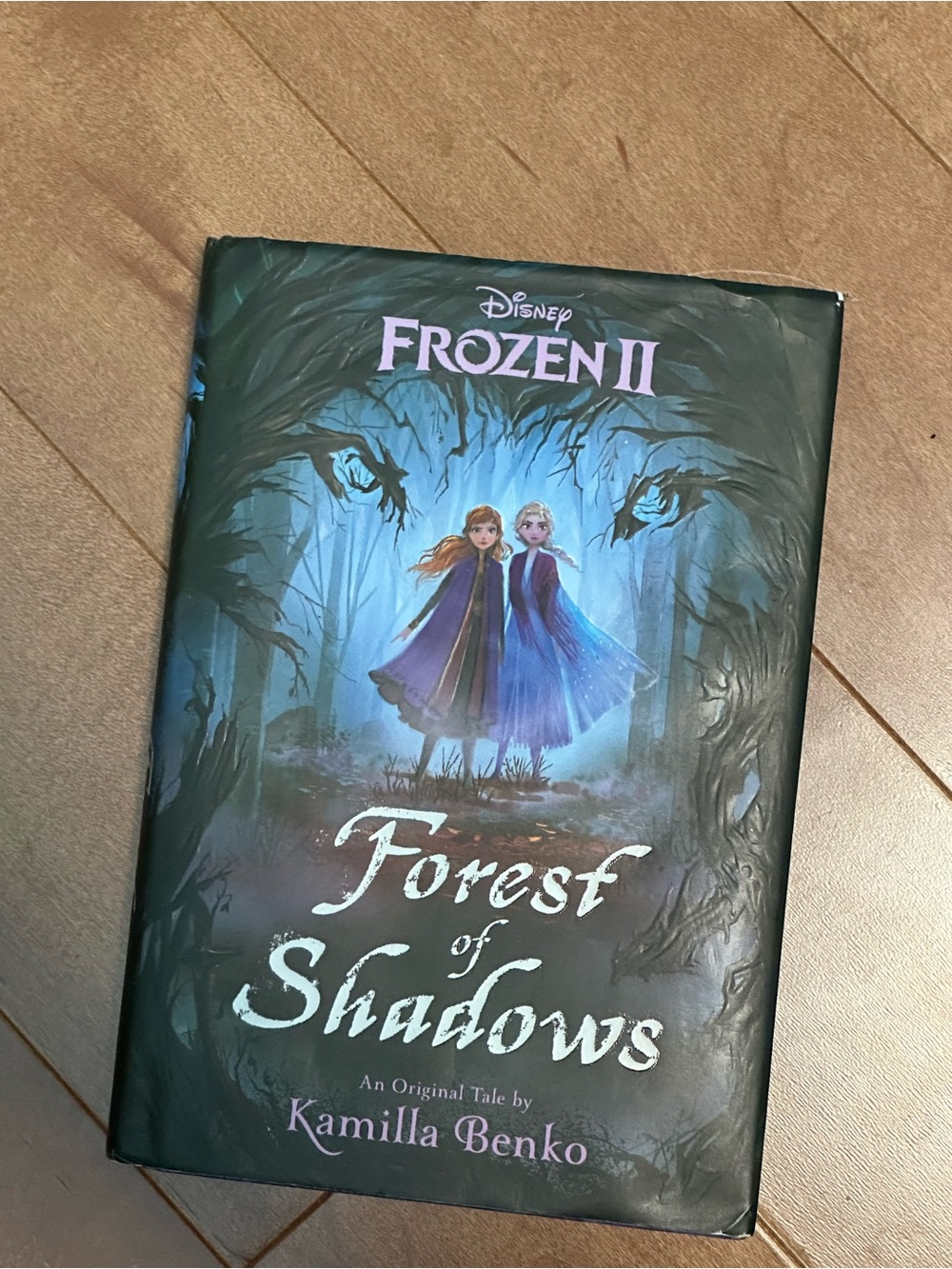 Disney Frozen II Forest of Shadows Costume Theme - Blue & Purple